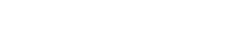 pmg logo white neu
